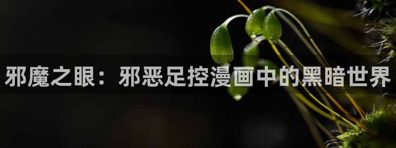 重考生51漫画免费漫画免费观看：邪魔之眼：邪恶足控漫画中的黑暗世界