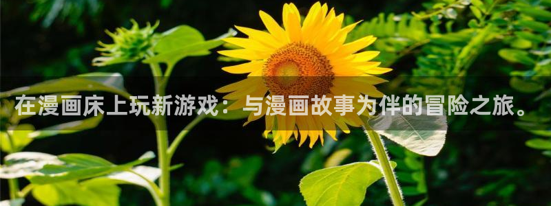 羞羞漫画51漫画官网：在漫画床上玩新游戏：与漫画故事为伴的冒险之旅。