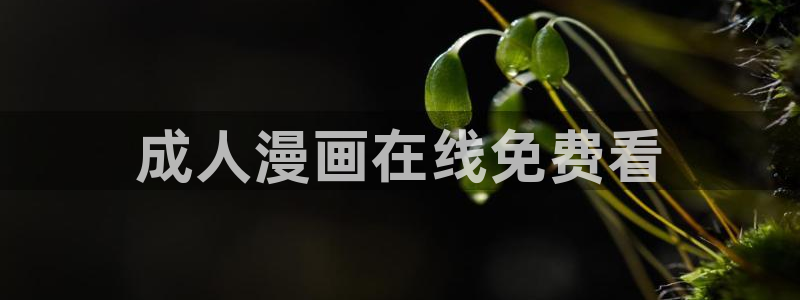 51漫画在哪儿看免费：成人漫画在线免费看