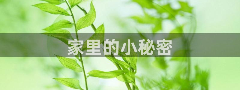 漫画app51漫画：家里的小秘密