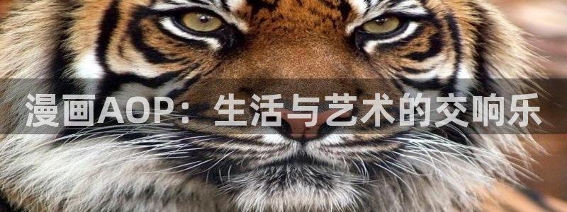 51漫画漫画免费阅读软件：漫画AOP：生活与艺术的交响乐